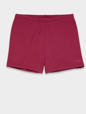 Aritzia Cozy Sweatfleece Perfect Hi-Rise Mini Short